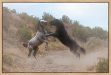 Load image into Gallery viewer, Fight In The Wash

