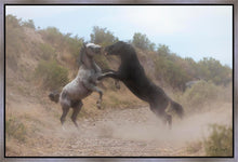 Load image into Gallery viewer, Fight In The Wash
