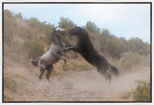 Load image into Gallery viewer, Fight In The Wash
