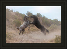 Load image into Gallery viewer, Fight In The Wash
