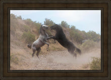Load image into Gallery viewer, Fight In The Wash
