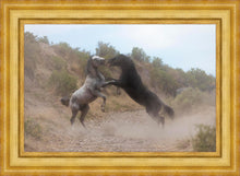 Load image into Gallery viewer, Fight In The Wash
