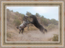 Load image into Gallery viewer, Fight In The Wash
