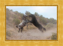 Load image into Gallery viewer, Fight In The Wash
