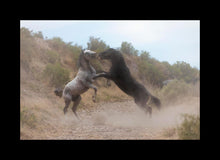 Load image into Gallery viewer, Fight In The Wash
