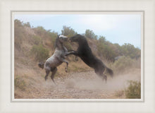 Load image into Gallery viewer, Fight In The Wash
