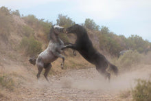 Load image into Gallery viewer, Fight In The Wash
