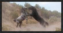 Load image into Gallery viewer, Fight In The Wash
