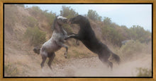 Load image into Gallery viewer, Fight In The Wash

