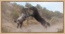 Load image into Gallery viewer, Fight In The Wash
