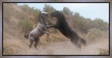 Load image into Gallery viewer, Fight In The Wash
