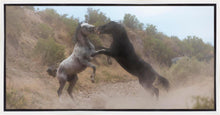 Load image into Gallery viewer, Fight In The Wash

