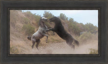 Load image into Gallery viewer, Fight In The Wash
