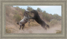 Load image into Gallery viewer, Fight In The Wash

