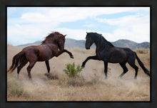 Load image into Gallery viewer, War Dance
