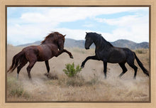 Load image into Gallery viewer, War Dance
