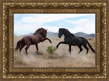 Load image into Gallery viewer, War Dance
