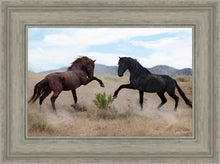 Load image into Gallery viewer, War Dance
