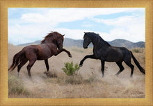 Load image into Gallery viewer, War Dance
