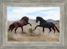 Load image into Gallery viewer, War Dance
