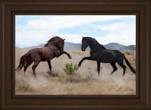 Load image into Gallery viewer, War Dance
