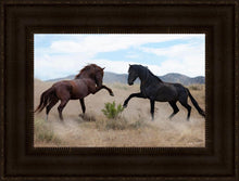 Load image into Gallery viewer, War Dance
