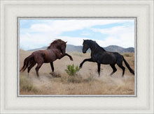 Load image into Gallery viewer, War Dance
