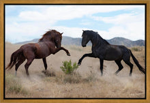 Load image into Gallery viewer, War Dance
