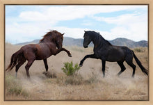 Load image into Gallery viewer, War Dance
