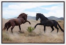 Load image into Gallery viewer, War Dance
