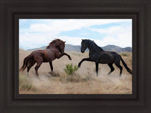 Load image into Gallery viewer, War Dance
