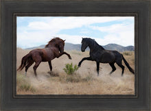 Load image into Gallery viewer, War Dance
