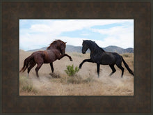 Load image into Gallery viewer, War Dance
