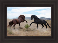 Load image into Gallery viewer, War Dance
