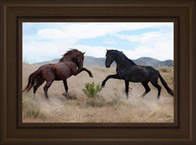 Load image into Gallery viewer, War Dance
