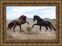 Load image into Gallery viewer, War Dance
