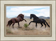 Load image into Gallery viewer, War Dance
