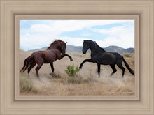 Load image into Gallery viewer, War Dance
