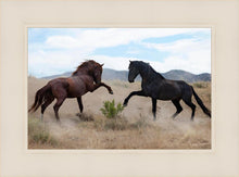 Load image into Gallery viewer, War Dance
