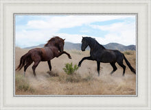 Load image into Gallery viewer, War Dance

