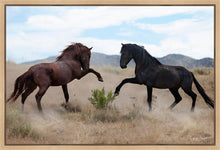 Load image into Gallery viewer, War Dance

