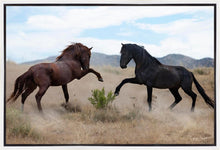 Load image into Gallery viewer, War Dance

