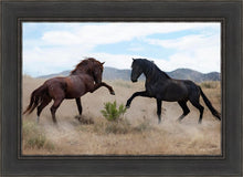 Load image into Gallery viewer, War Dance
