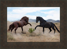 Load image into Gallery viewer, War Dance
