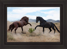 Load image into Gallery viewer, War Dance
