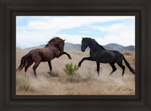 Load image into Gallery viewer, War Dance
