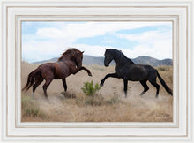 Load image into Gallery viewer, War Dance
