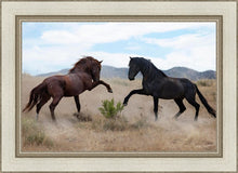 Load image into Gallery viewer, War Dance

