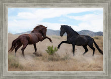 Load image into Gallery viewer, War Dance
