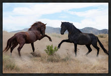 Load image into Gallery viewer, War Dance
